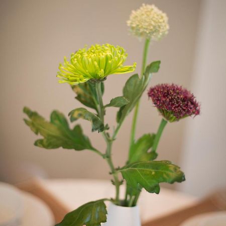 Cotswold Grey Apartment Moreton-in-Marsh ภายนอก รูปภาพ